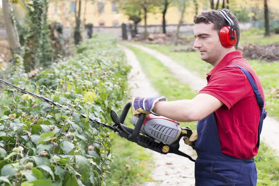 How Shrub Trimming Supports Proper Sunlight Exposure in Carlton, OR How Shrub Trimming Supports Proper Sunlight Exposure in Carlton, OR