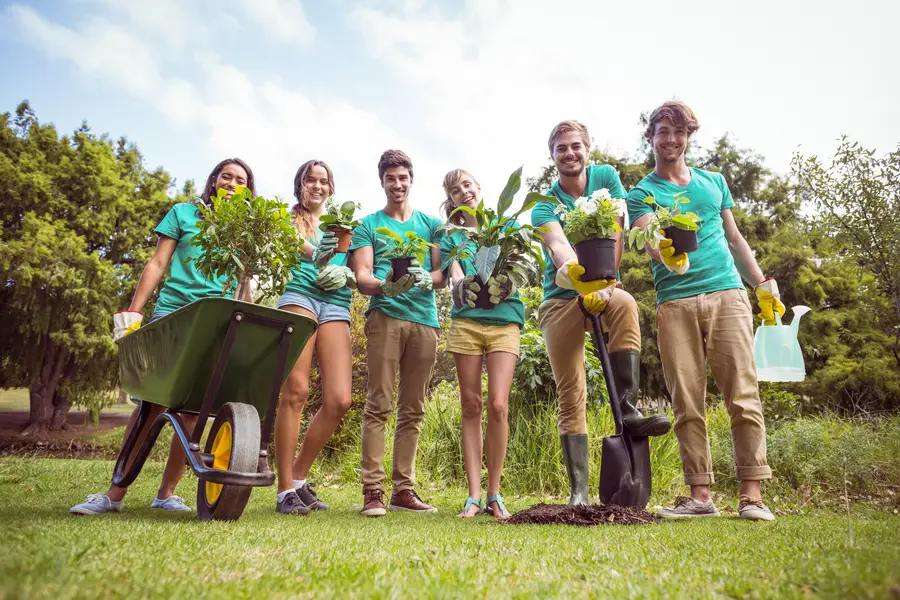 Why Professional Planting Ensures Root Stability Carlton, OR Why Professional Planting Ensures Root Stability Carlton, OR